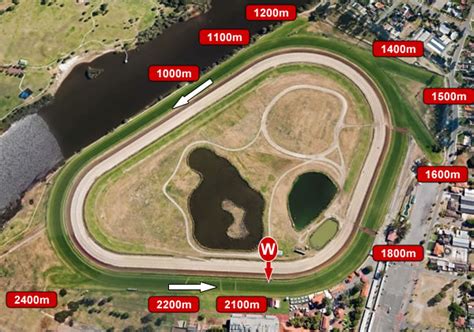 Ascot Horse Racing Form Guide, Speed Maps & Odds .